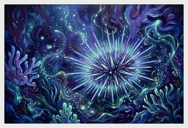 Sea Urchin Underwater