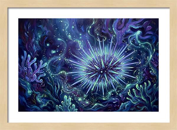 Sea Urchin Underwater