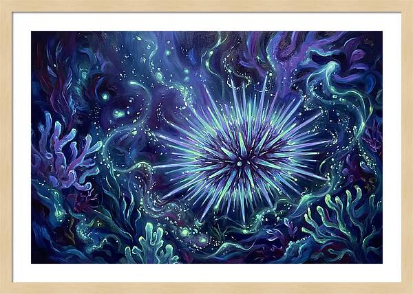 Sea Urchin Underwater
