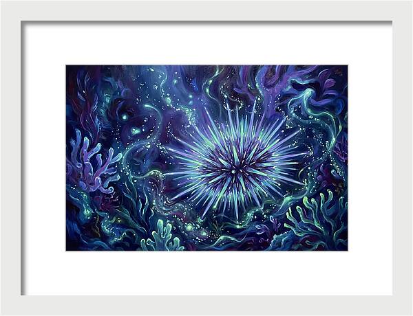 Sea Urchin Underwater