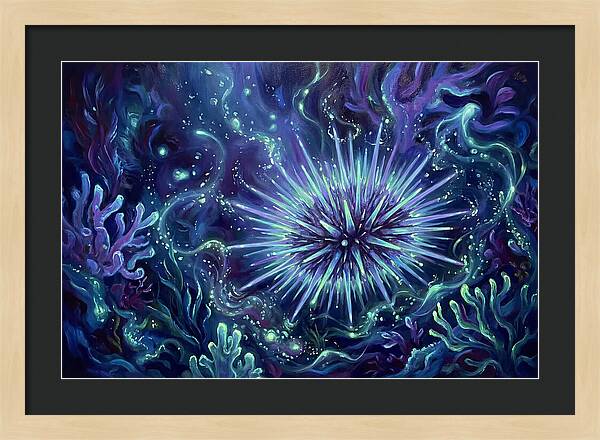 Sea Urchin Underwater