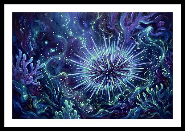 Sea Urchin Underwater