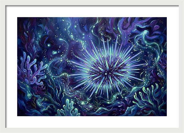 Sea Urchin Underwater