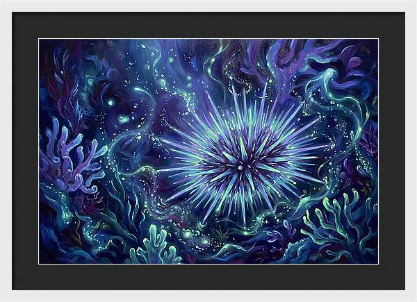 Sea Urchin Underwater