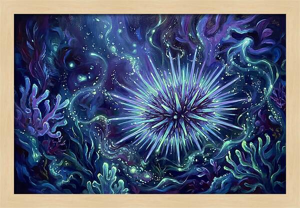 Sea Urchin Underwater