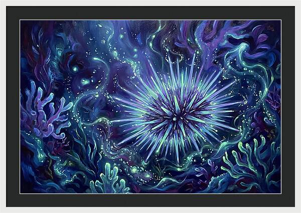 Sea Urchin Underwater