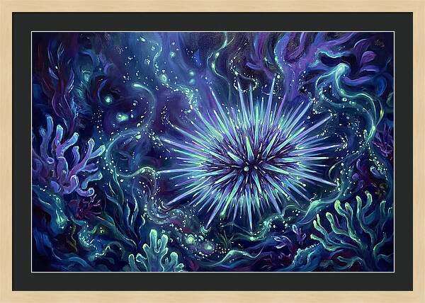 Sea Urchin Underwater