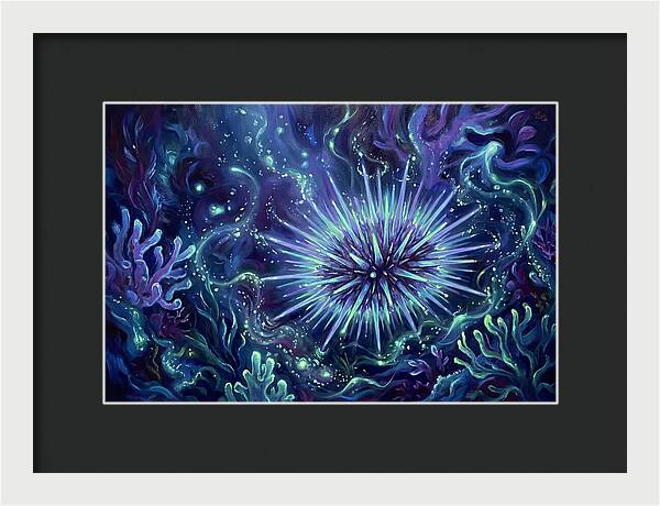 Sea Urchin Underwater