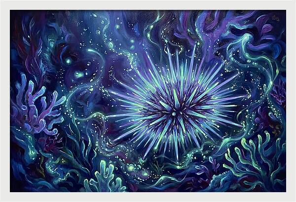 Sea Urchin Underwater