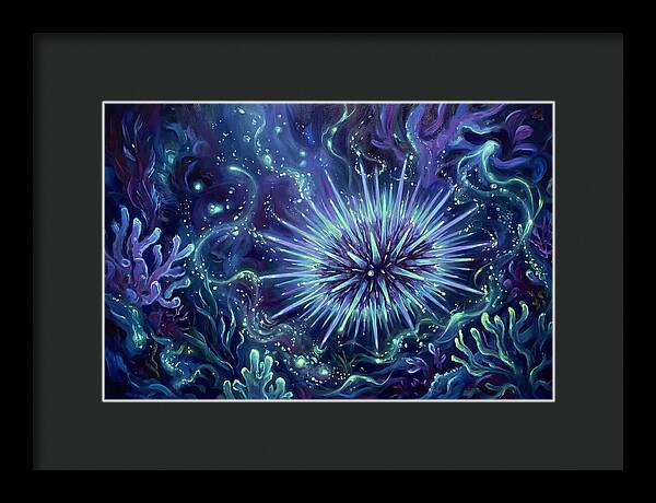 Sea Urchin Underwater