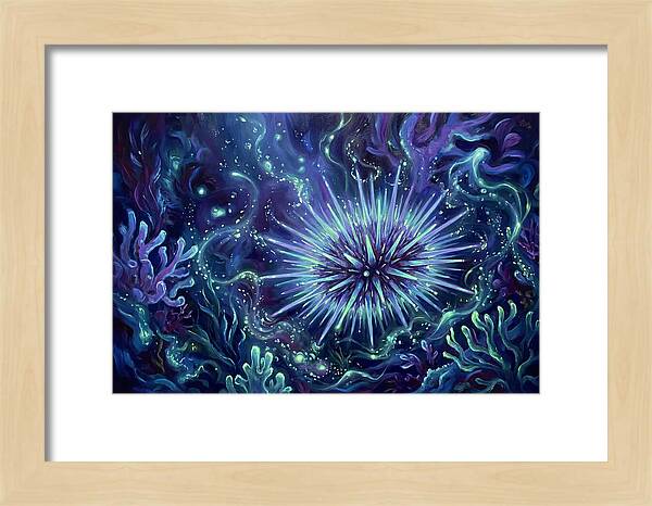 Sea Urchin Underwater