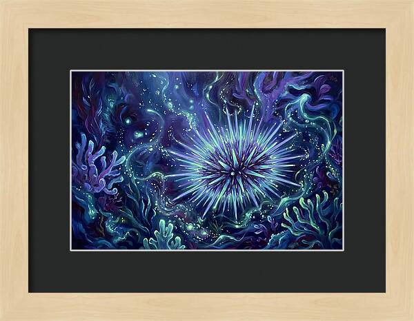 Sea Urchin Underwater