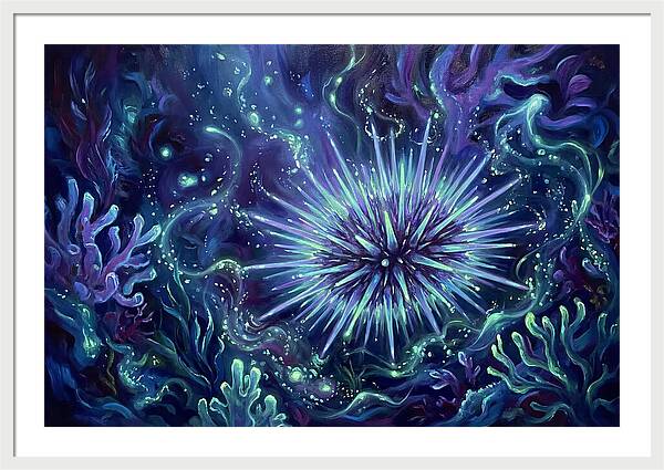 Sea Urchin Underwater