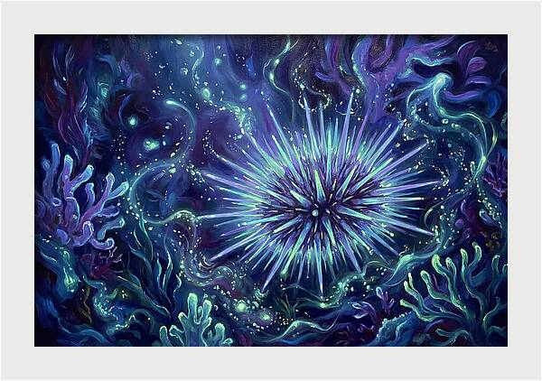 Sea Urchin Underwater