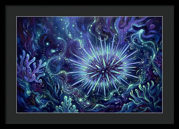 Sea Urchin Underwater