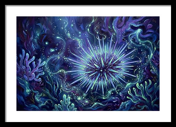 Sea Urchin Underwater