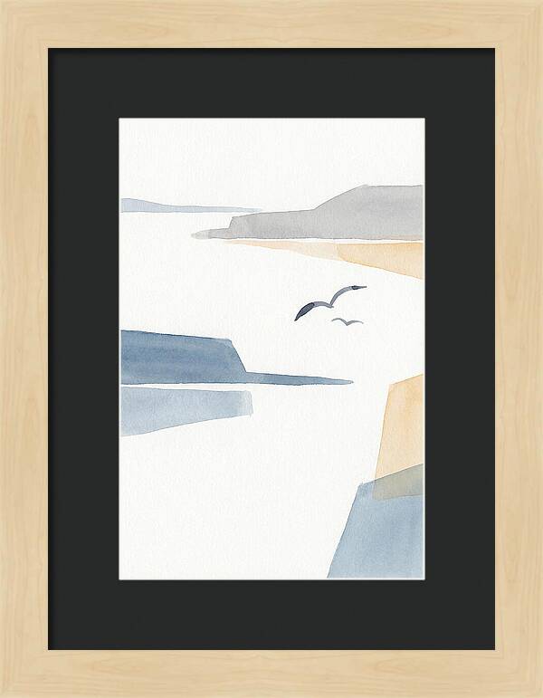 Seabirds Over Tranquil Waters
