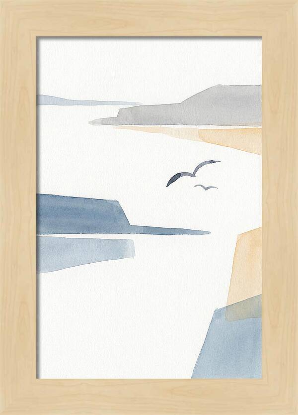 Seabirds Over Tranquil Waters