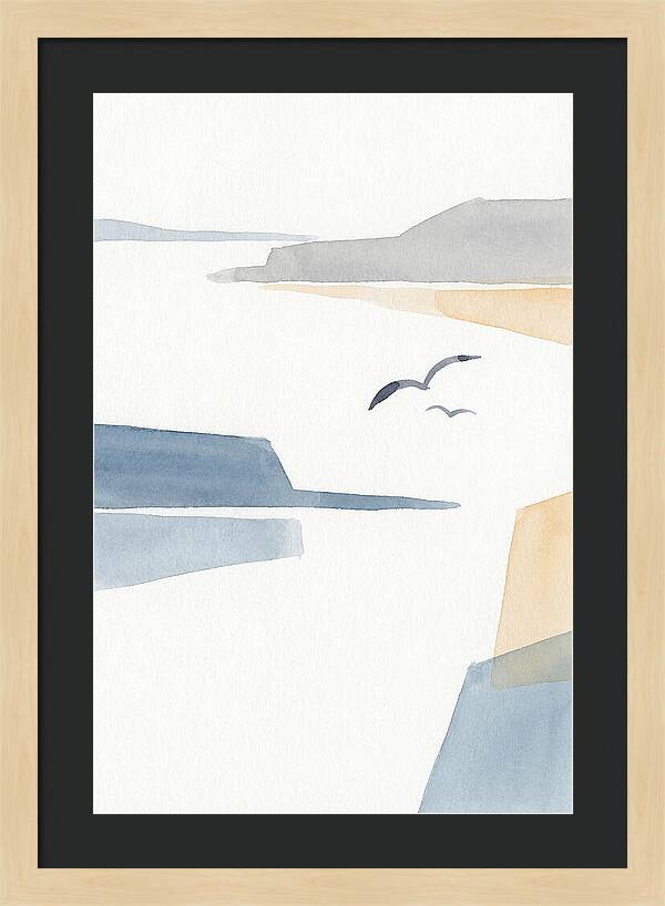 Seabirds Over Tranquil Waters