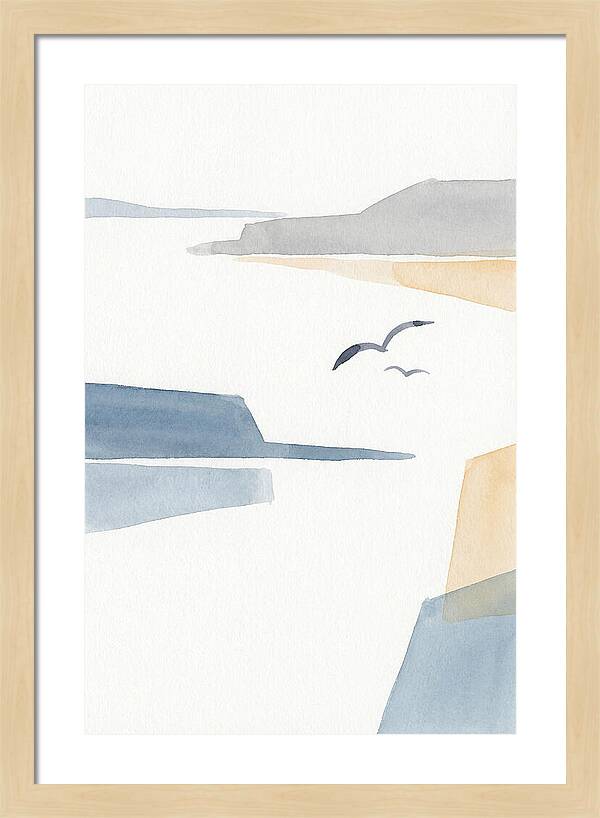 Seabirds Over Tranquil Waters