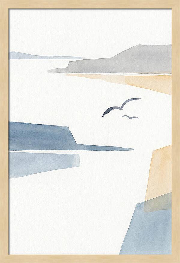 Seabirds Over Tranquil Waters