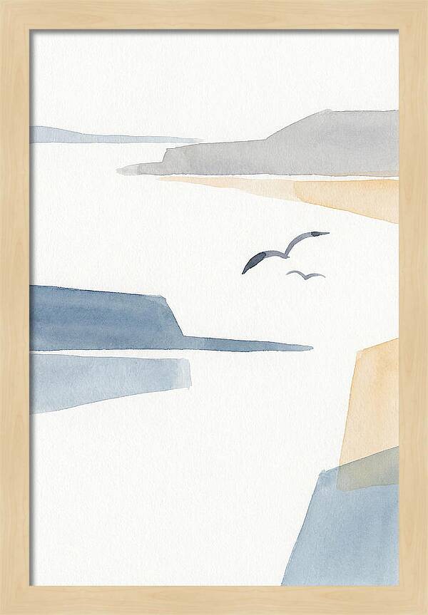Seabirds Over Tranquil Waters