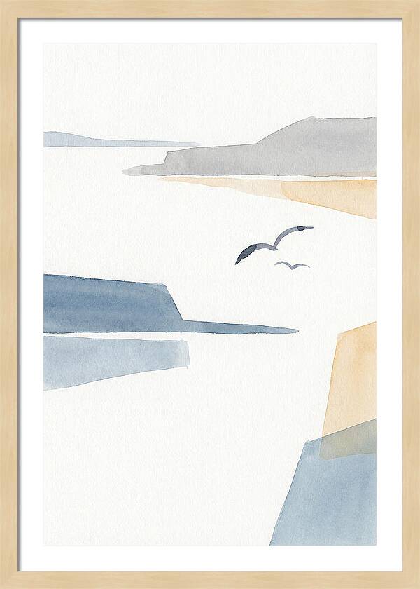 Seabirds Over Tranquil Waters