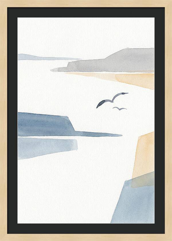 Seabirds Over Tranquil Waters