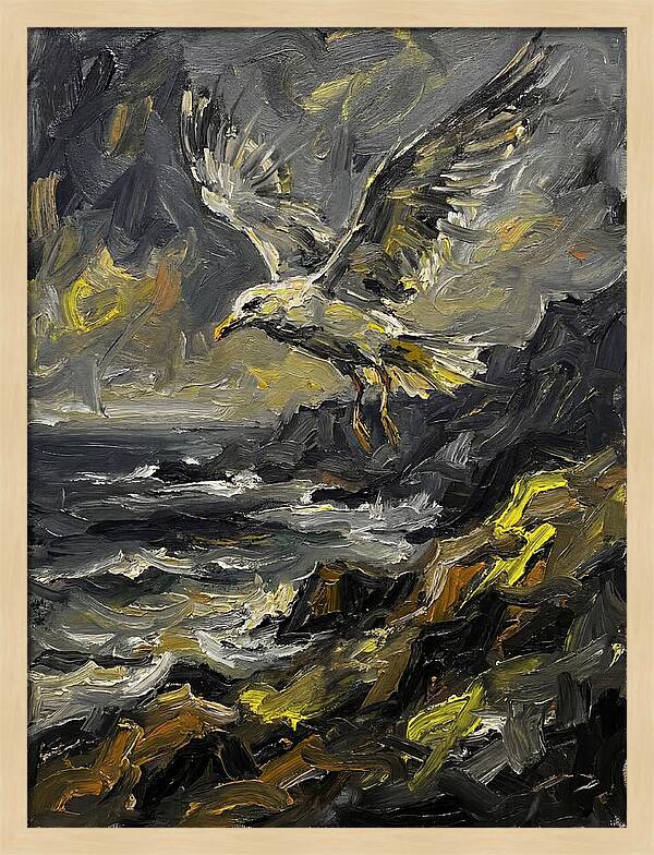 Seagull In Flight