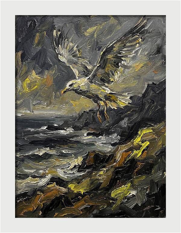 Seagull In Flight