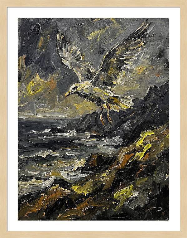 Seagull In Flight