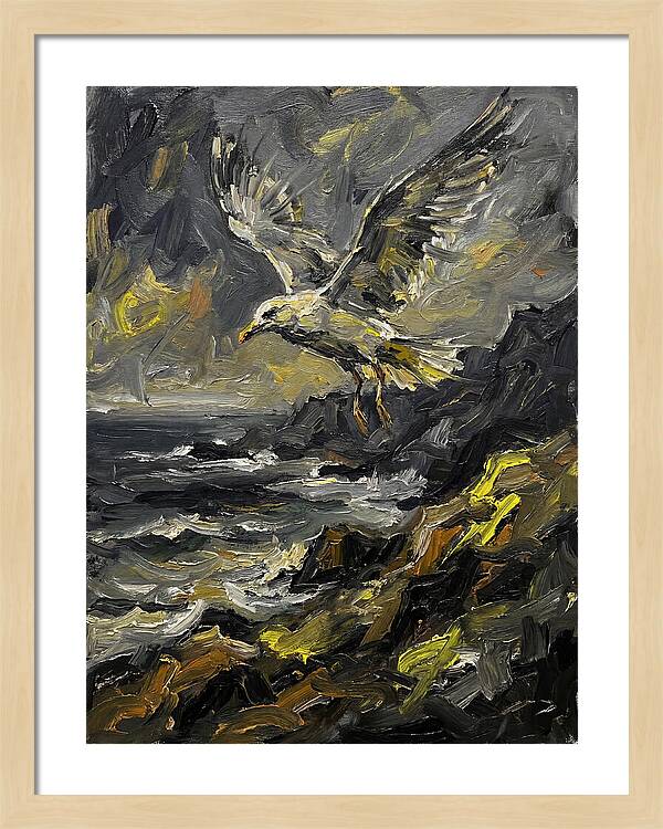 Seagull In Flight