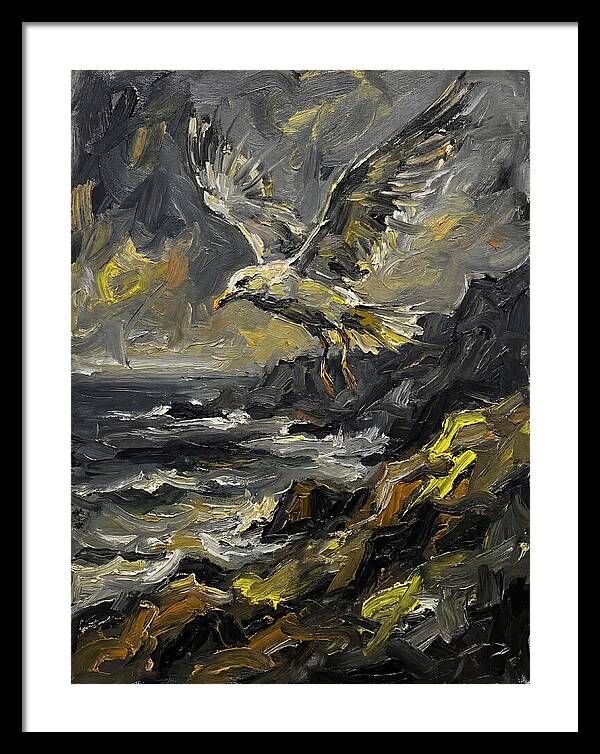 Seagull In Flight