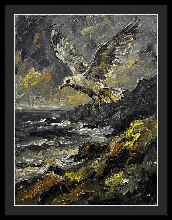 Seagull In Flight