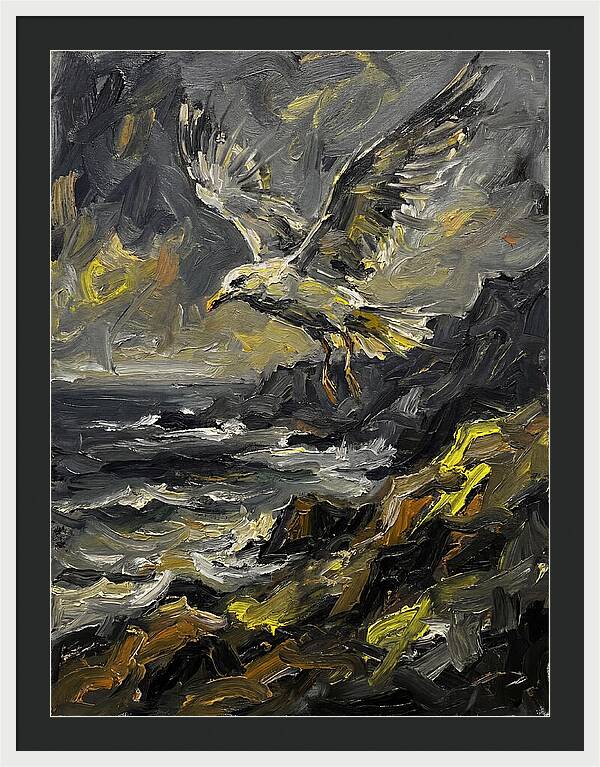 Seagull In Flight