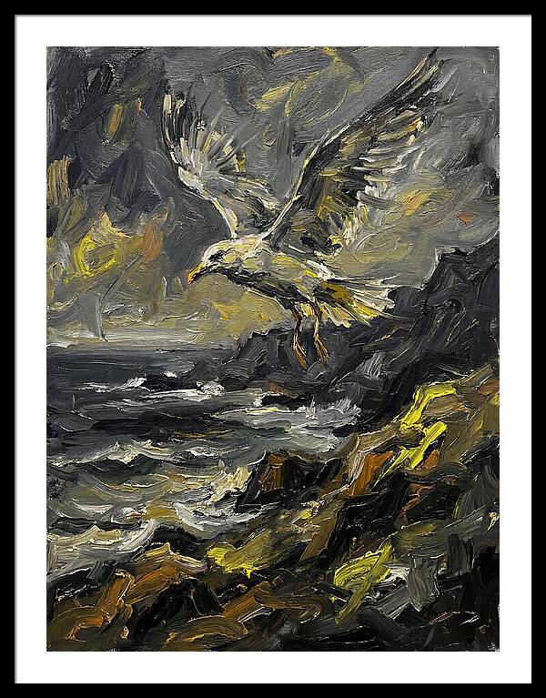 Seagull In Flight