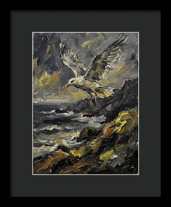 Seagull In Flight