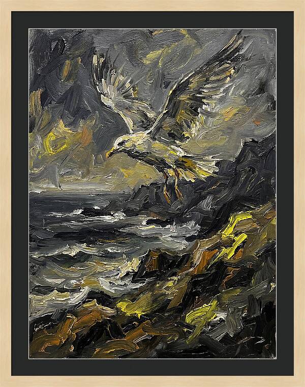 Seagull In Flight