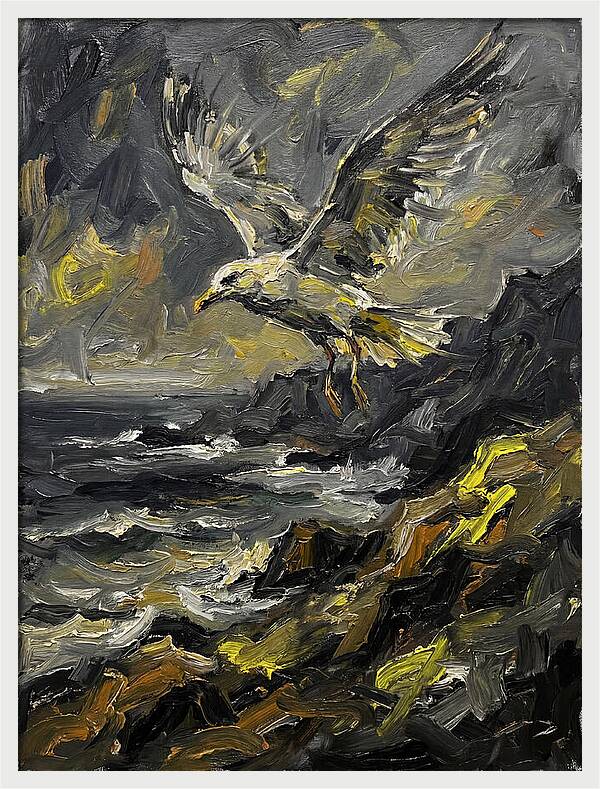 Seagull In Flight