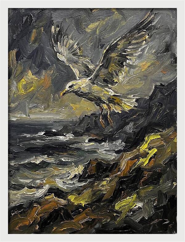 Seagull In Flight