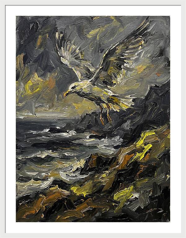 Seagull In Flight