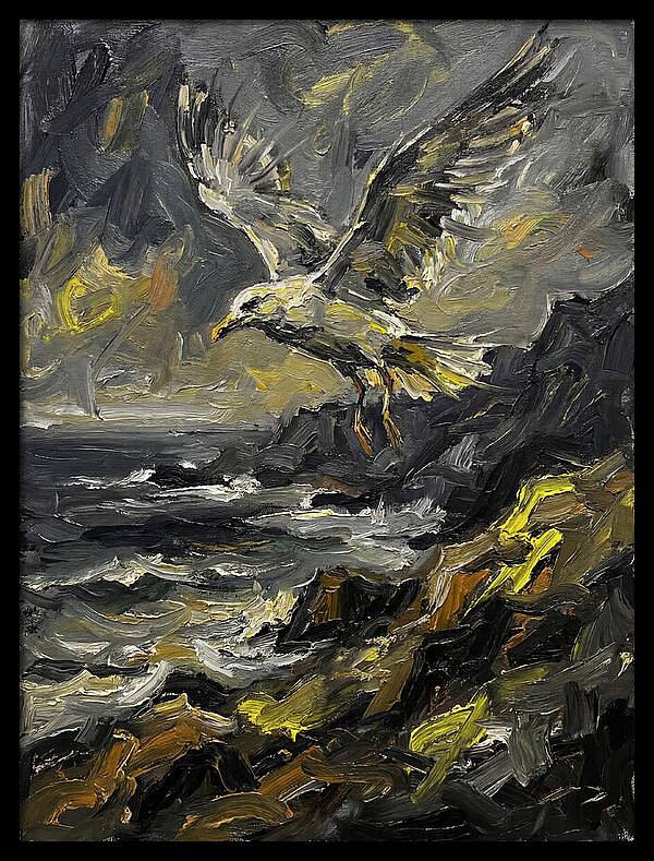 Seagull In Flight