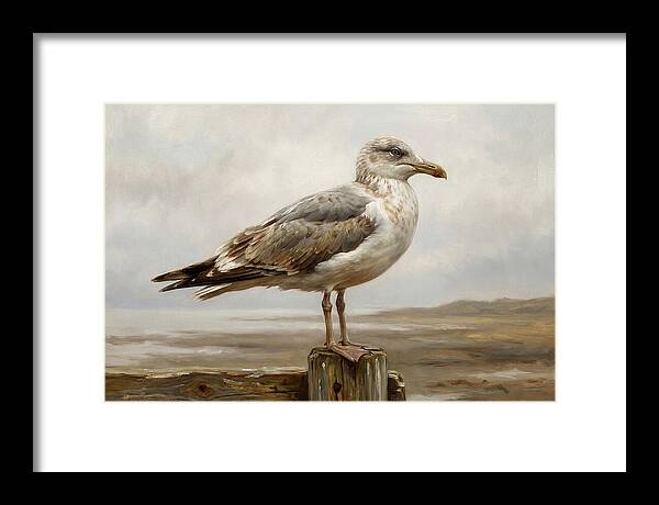 Seagull Perched On A Post