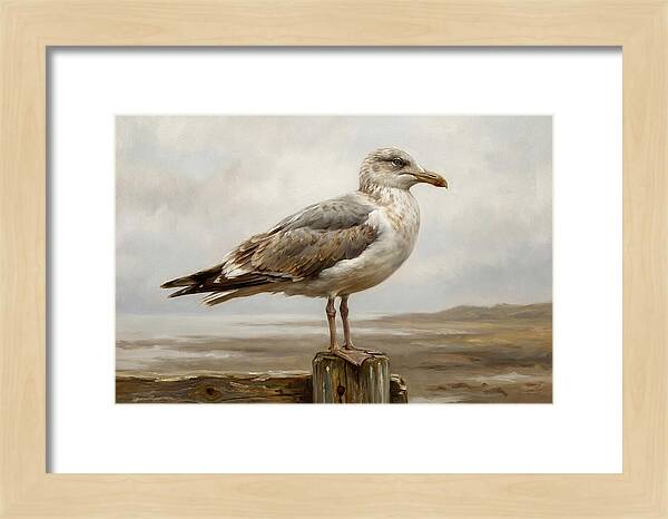 Seagull Perched On A Post