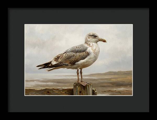 Seagull Perched On A Post