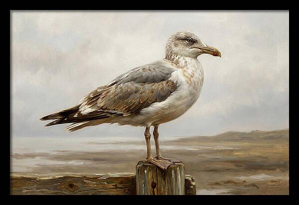 Seagull Perched On A Post
