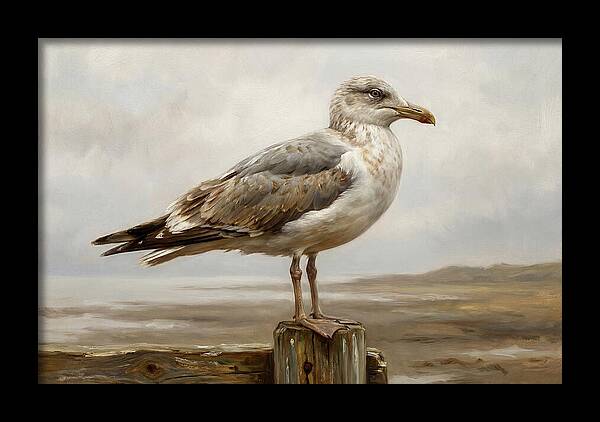 Seagull Perched On A Post