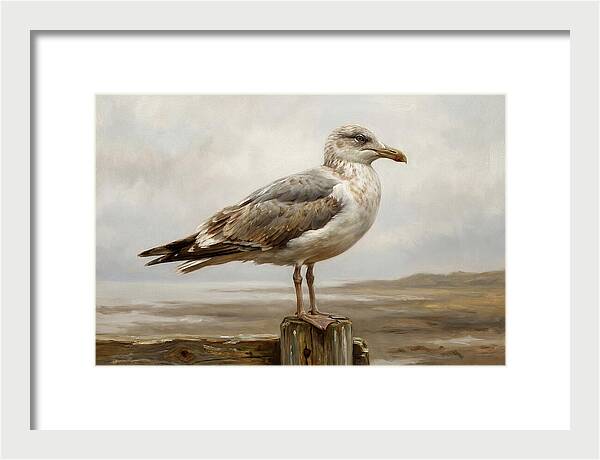 Seagull Perched On A Post