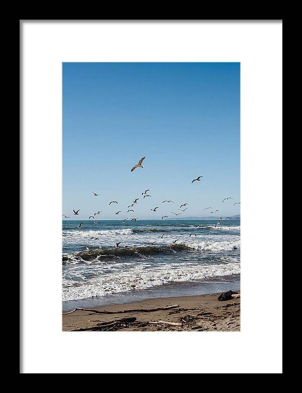 Seagulls Above Breaking Waves