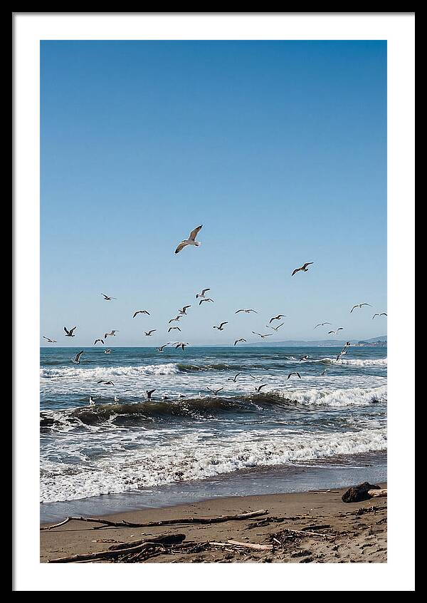 Seagulls Above Breaking Waves